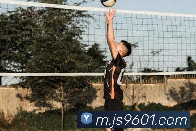 澳门金沙娱乐网址服务体系